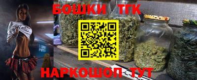сатива Лесосибирск