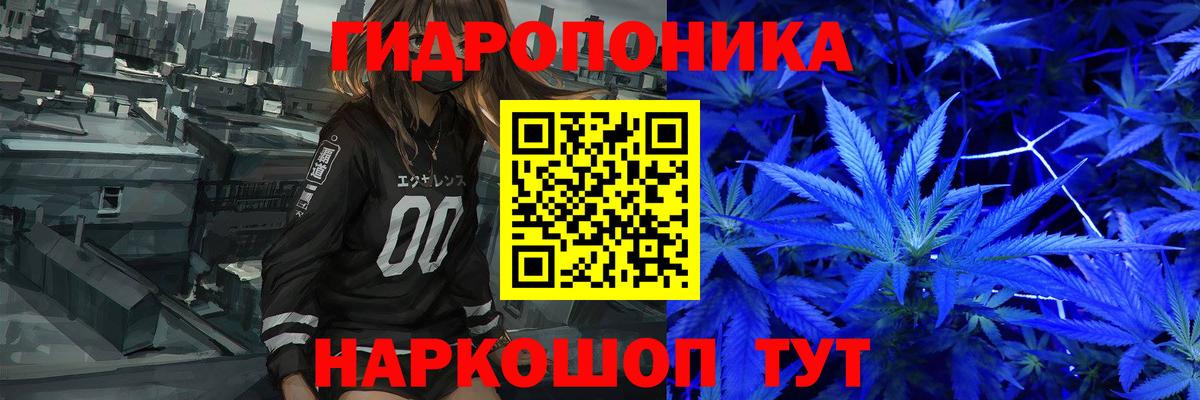 Конопля гибрид Вичуга