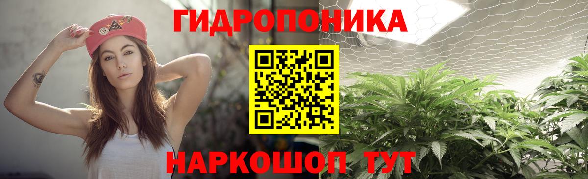 Вичуга  Марихуана конопля  Бошки марихуана индика  Вход с VPN 